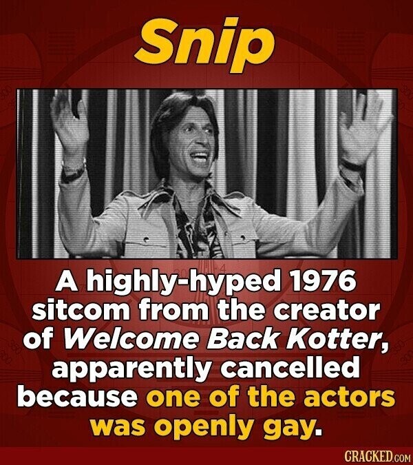 Snip A . 1976 highly-hyped sitcom from the creator of Welcome Back Kotter, apparently cancelled because one of the actors was openly gay. CRACKED.COM