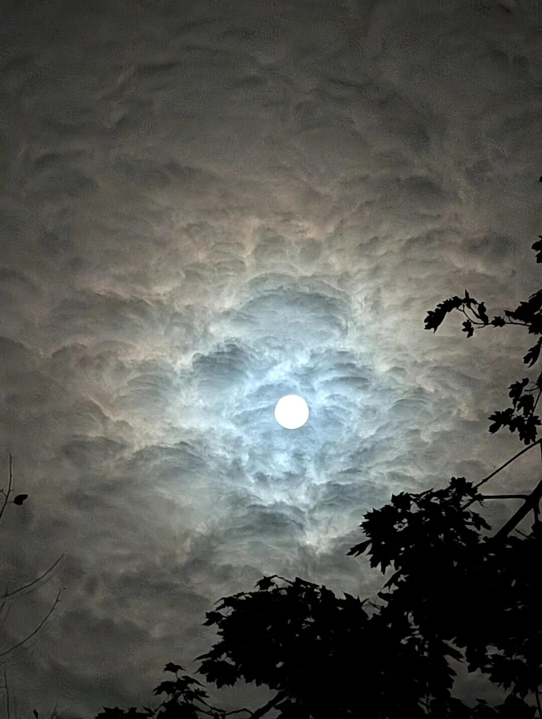 Unlikely Coincidences Captured in Real Life