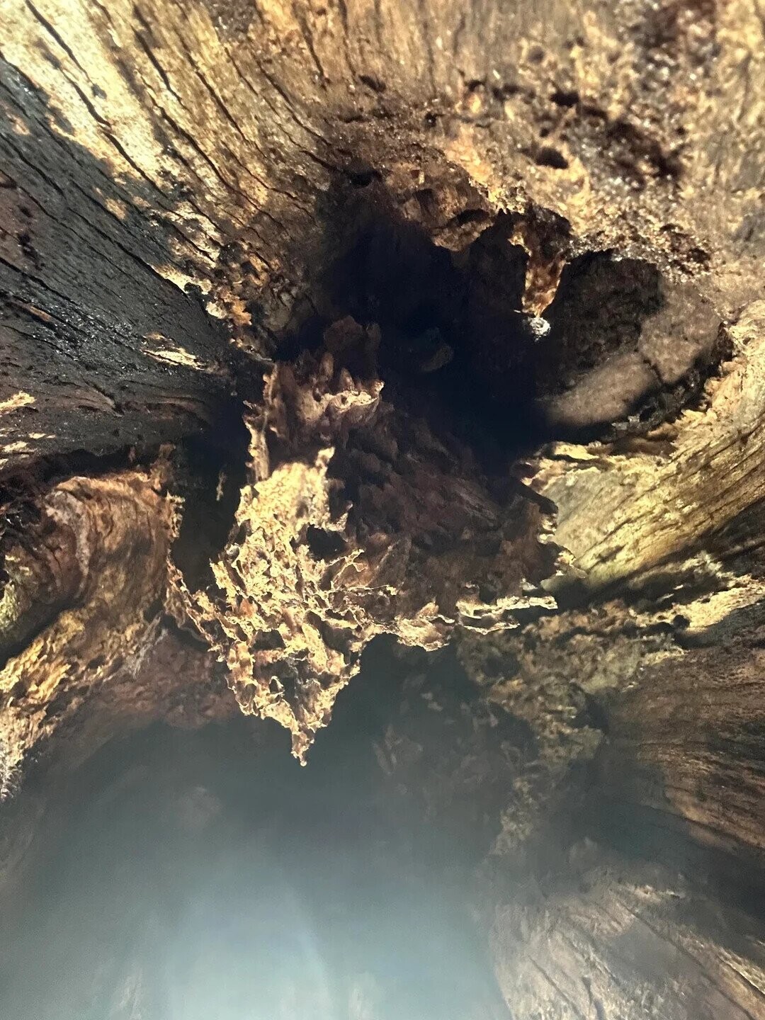 Puzzling Photos Playing Tricks With Your Eyes