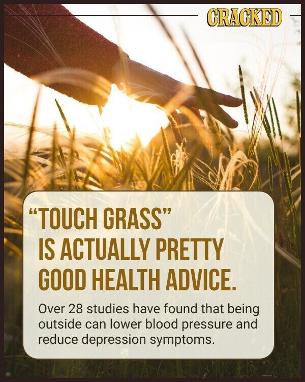 CRACKED TOUCH GRASS IS ACTUALLY PRETTY GOOD HEALTH ADVICE. Over 28 studies have found that being outside can lower blood pressure and reduce depression symptoms.