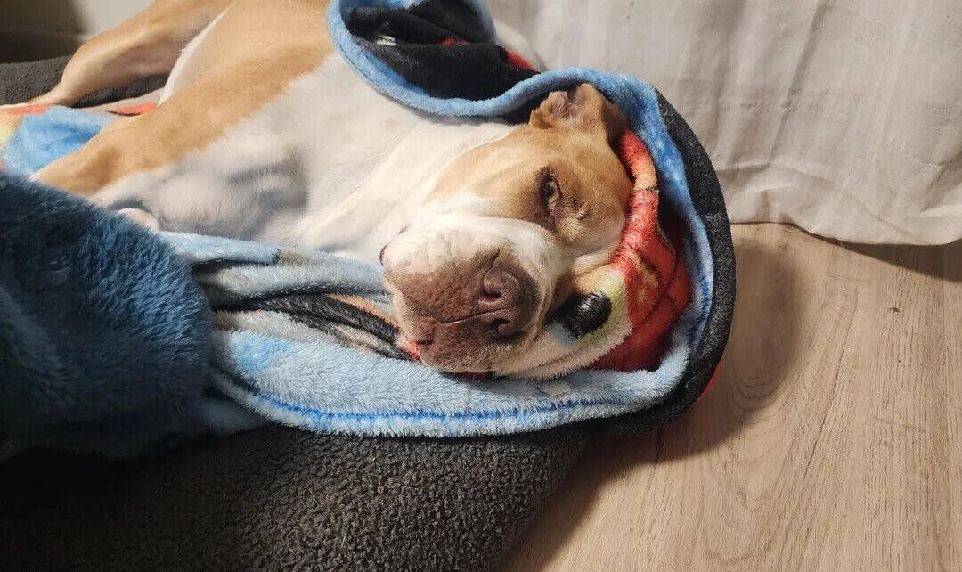 Puzzling Photos Playing Tricks With Your Eyes