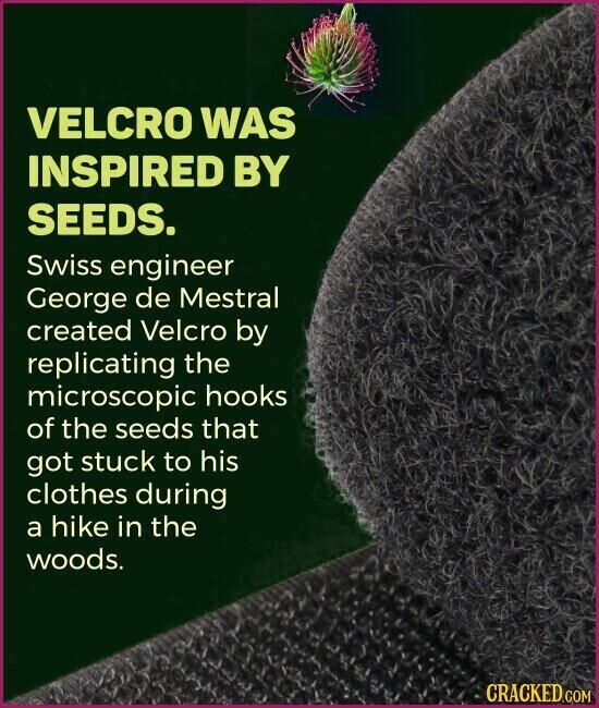 VELCRO WAS INSPIRED BY SEEDS. Swiss engineer George de Mestral created Velcro by replicating the microscopic hooks of the seeds that got stuck to his clothes during a hike in the woods. CRACKED.COM