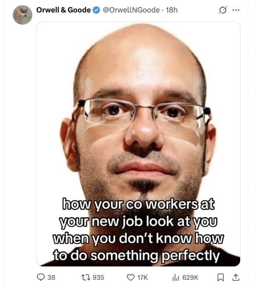 Orwell & Goode @OrwellNGoode .. 18h s ... how your со workers at your new job look at you when you don't know how to do something perfectly 38 935 17K 629K
