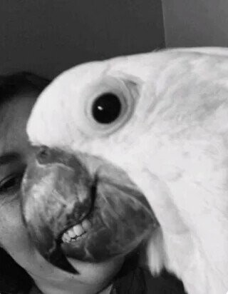 Puzzling Photos Playing Tricks With Your Eyes