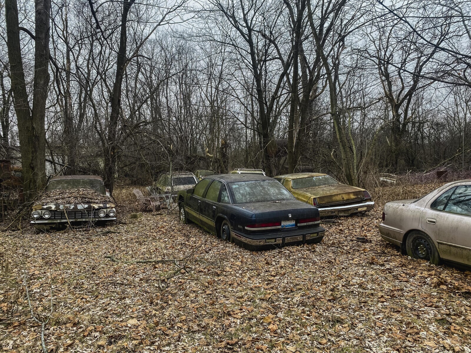 Pricey Classic Rides Claimed By the Junkyard