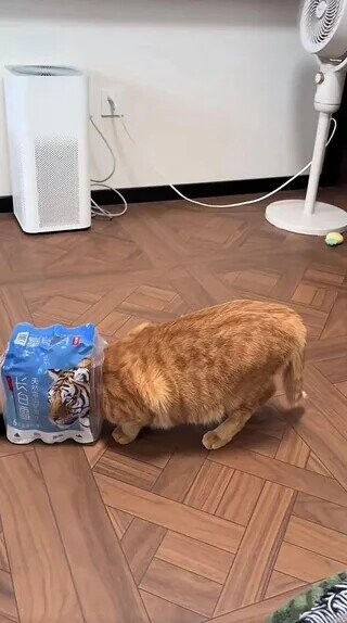 Puzzling Photos Playing Tricks With Your Eyes