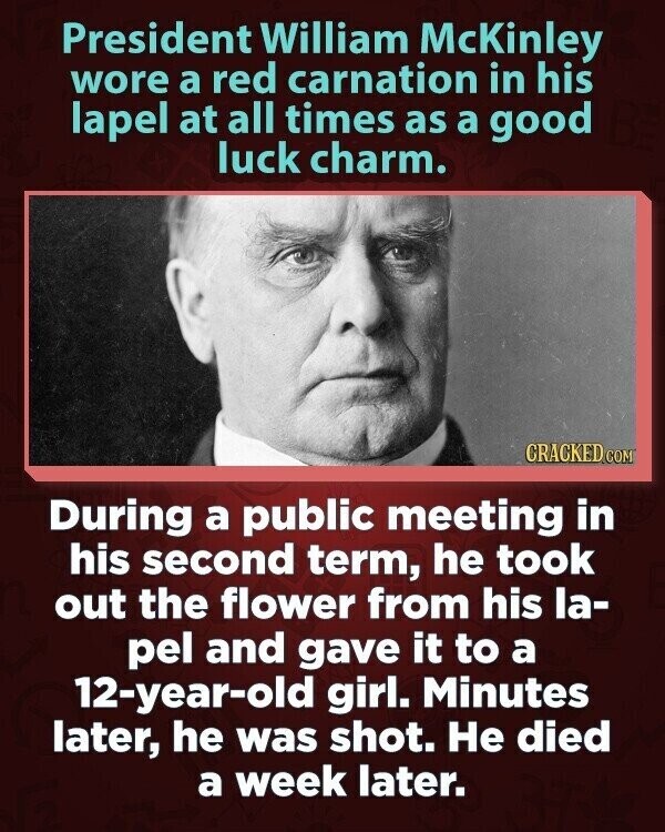 President William McKinley wore a red carnation in his lapel at all times as a good luck charm. CRACKED COM During a public meeting in his second term, he took out the flower from his la- pel and gave it to a 12-year-old girl. Minutes later, he was shot. Не died a week later.