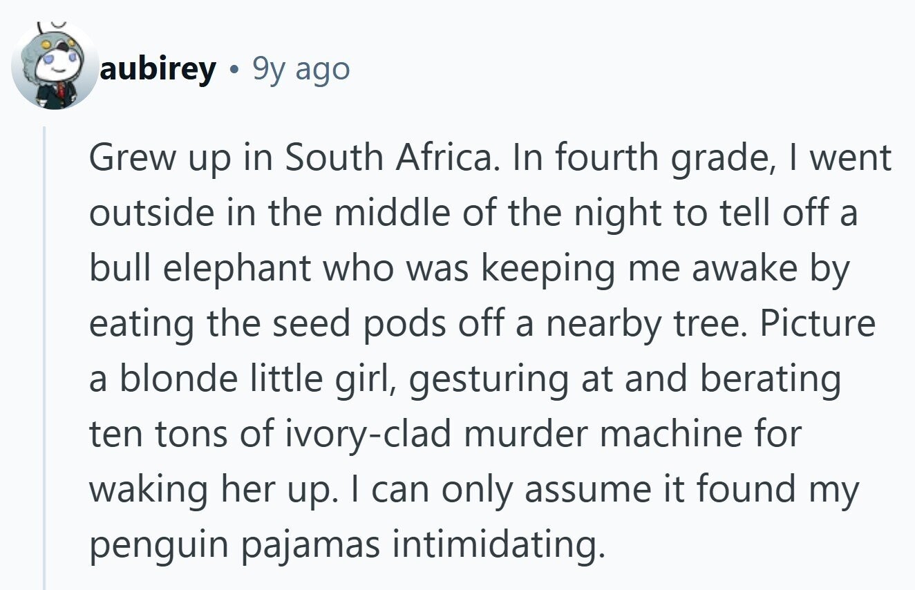 aubirey 9y ago Grew up in South Africa. In fourth grade, I went outside in the middle of the night to tell off a bull elephant who was keeping me awake by eating the seed pods off a nearby tree. Picture a blonde little girl, gesturing at and berating ten tons of ivory-clad murder machine for waking her up. I can only assume it found my penguin pajamas intimidating. 