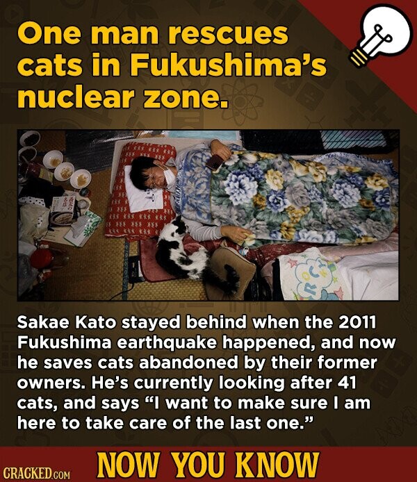 One man rescues cats in Fukushima's nuclear zone. * XX53 3x Sakae Kato stayed behind when the 2011 Fukushima earthquake happened, and now he saves cats abandoned by their former owners. He's currently looking after 41 cats, and says I want to make sure I am here to take