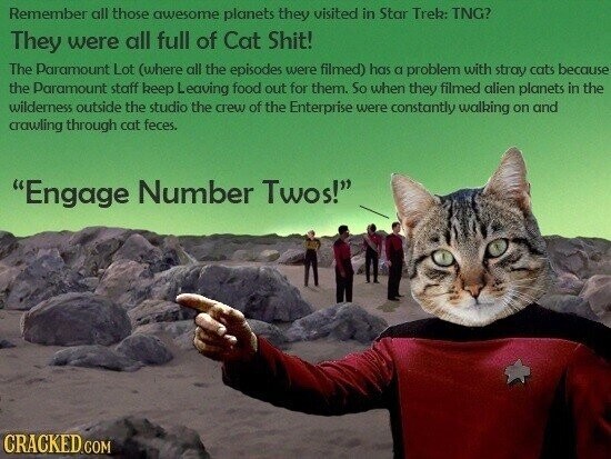Remember all those awesome planets they visited in Star Trek: TNG? They were all full of Cat Shit! The Paramount Lot (where all the episodes were filmed) has a problem with stray cats because the Paramount staff keep Leaving food out for them. So when they filmed alien planets in the wilderness outside the studio the crew of the Enterprise were constantly walking on and crawling through cat feces. Engage Number Twos! CRACKED.COM