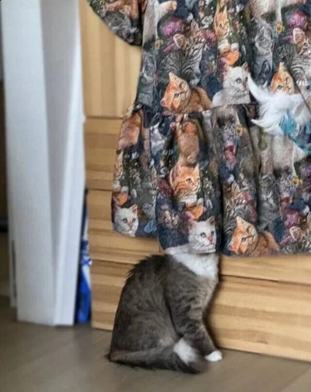 Puzzling Photos Playing Tricks With Your Eyes