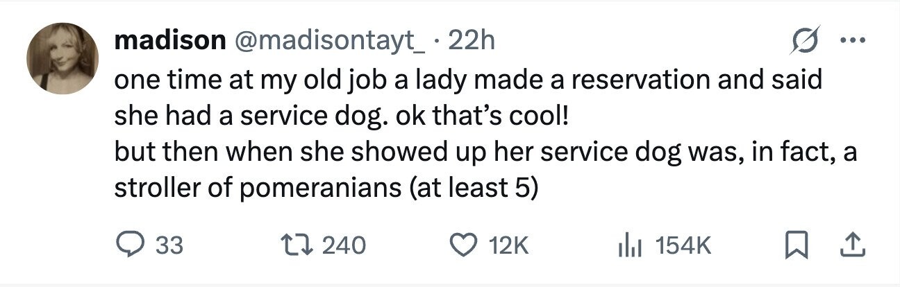madison @madisontayt_.22h ... one time at my old job a lady made a reservation and said she had a service dog. ok that's cool! but then when she showed up her service dog was, in fact, a stroller of pomeranians (at least 5) 33 240 12K 154K