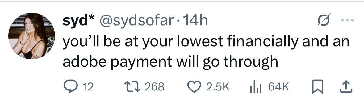 syd* @sydsofar•14h you'll be at your lowest financially and an adobe payment will go through 12 268 2.5K del 64K