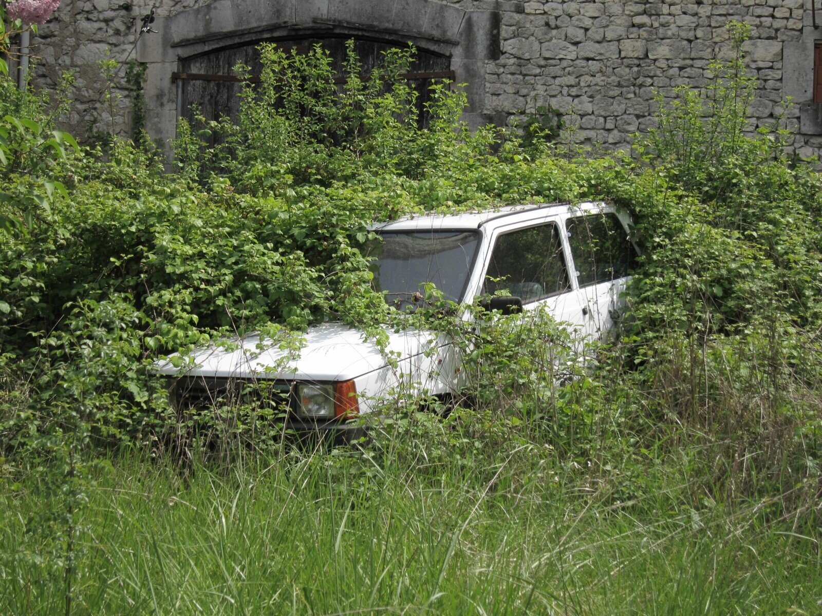 Pricey Classic Rides Claimed By the Junkyard