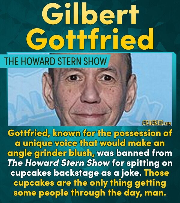 Gilbert Gottfried THE HOWARD STERN SHOW Gottfried, known for the possession of a unique voice that would make an angle grinder blush, was banned from