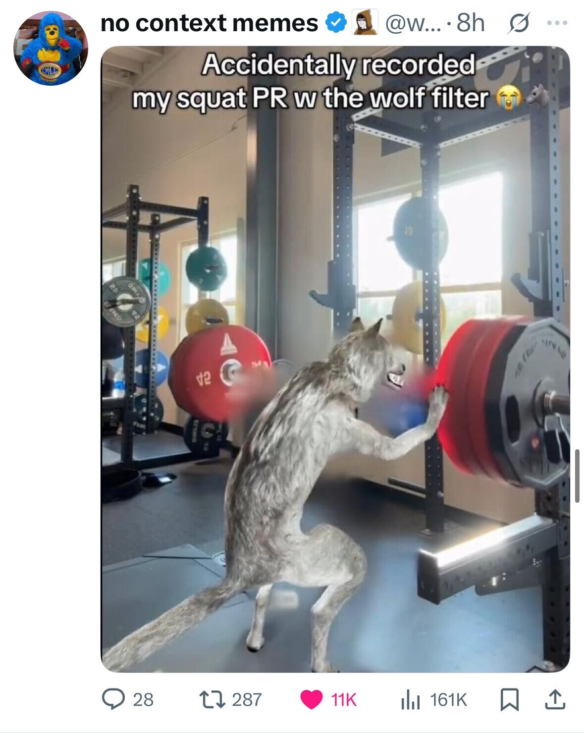 no context memes @w... 8h G ... Accidentally recorded my squat PR W the wolf filter 2P di AIN 2 a 28 287 161K 11K 