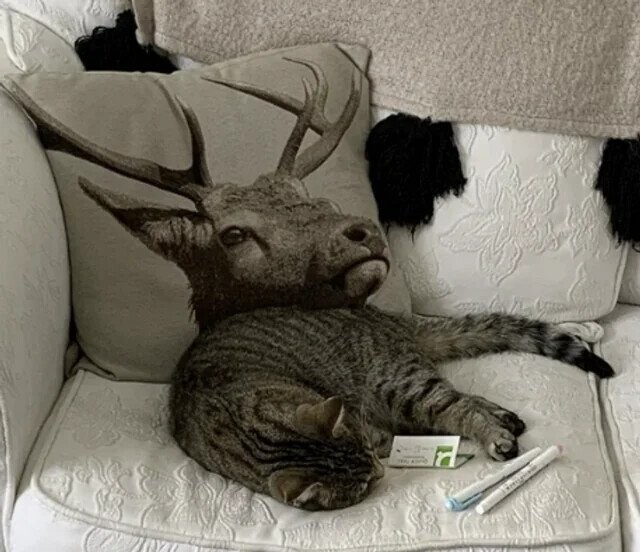 Puzzling Photos Playing Tricks With Your Eyes