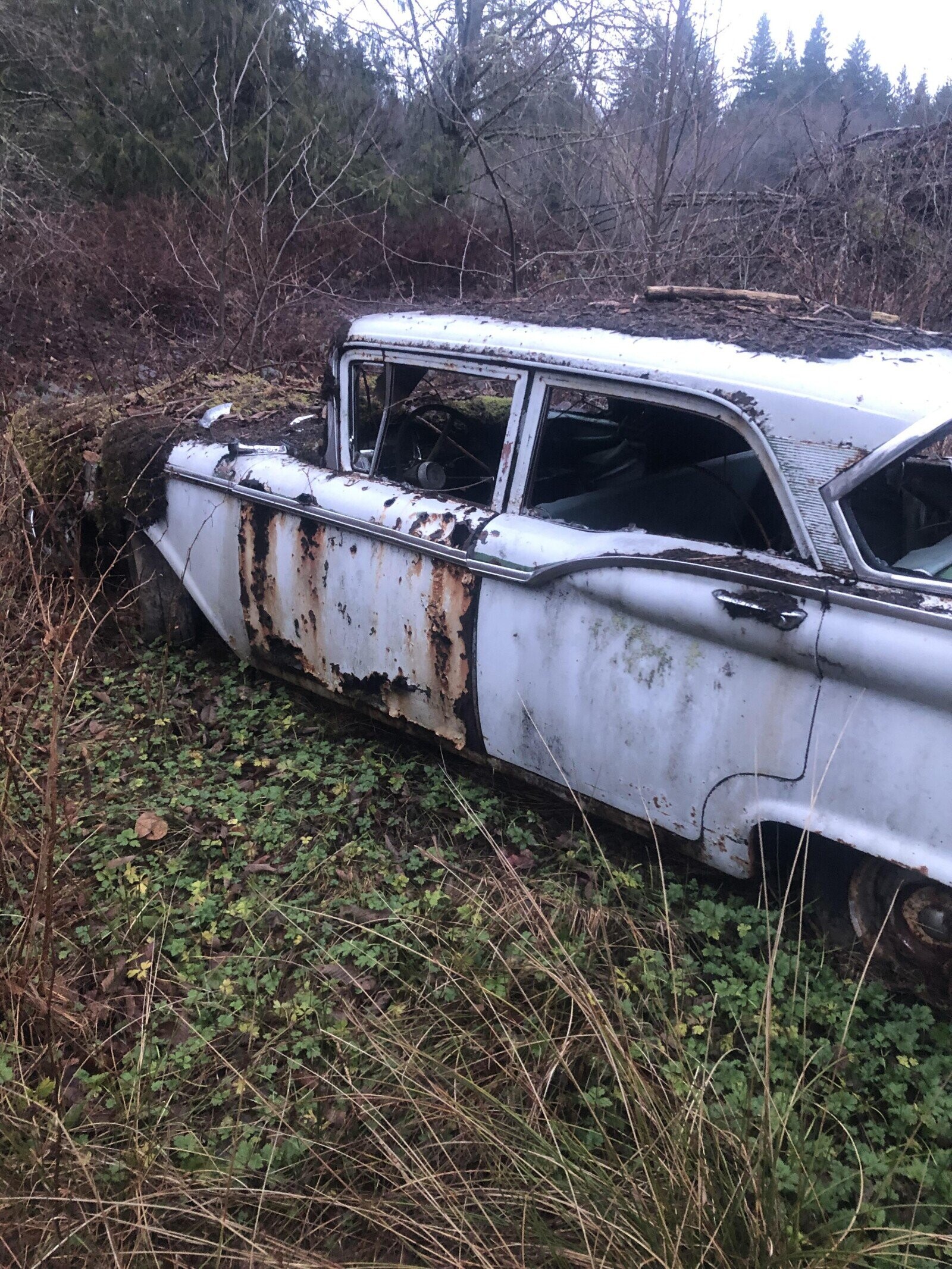Pricey Classic Rides Claimed By the Junkyard