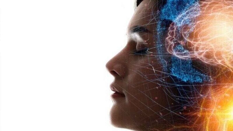 13 Pervasive Myths We Believe About The Human Body