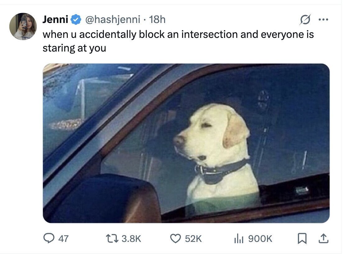 Jenni @hashjenni 18h ... when u accidentally block an intersection and everyone is staring at you 47 3.8K 52K del 900K