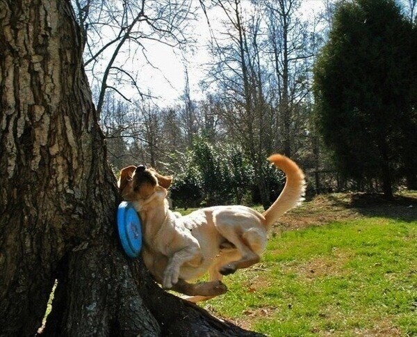 Photos That Someone Should Have Put a Stop to Early