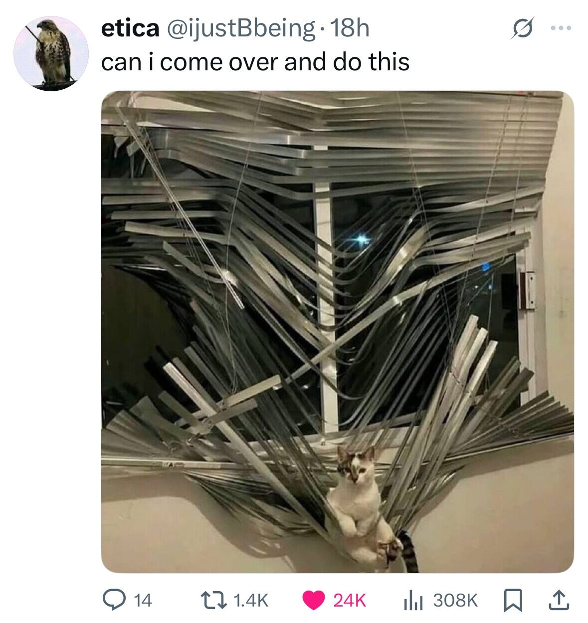 etica @ijustBbeing 18h S ... can i come over and do this 14 1.4K 24K 308K 