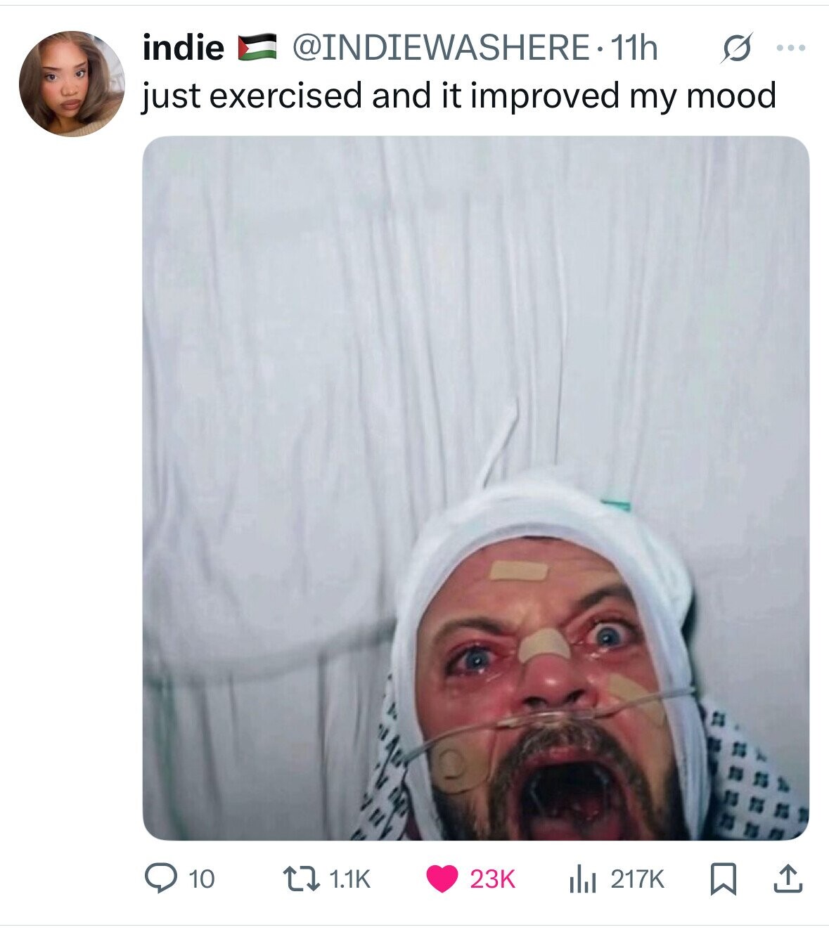 indie @INDIEWASHERE-11h s ... just exercised and it improved my mood 10 1.1K 23K del 217K 