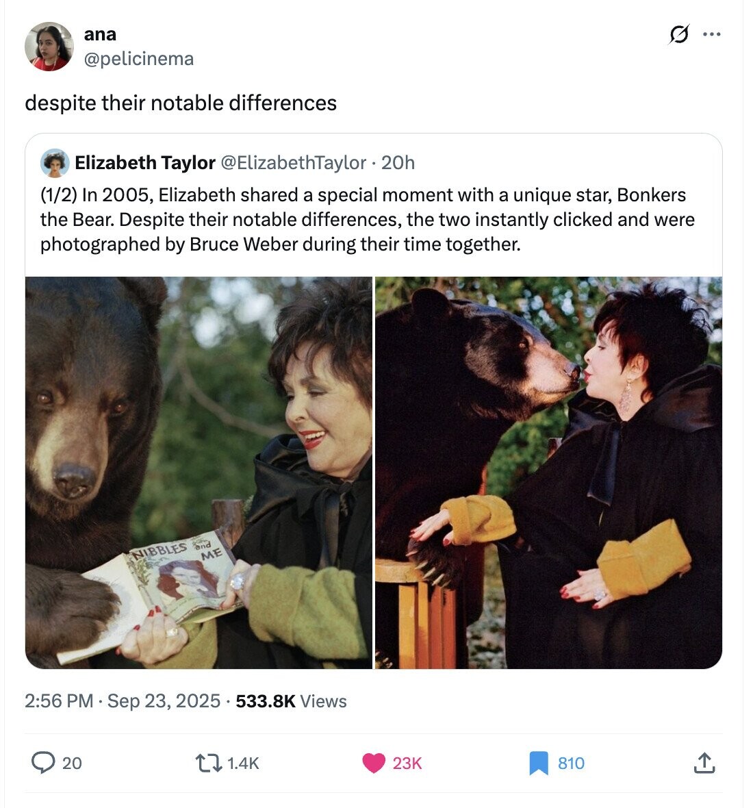 ana O ... @pelicinema despite their notable differences Elizabeth Taylor @ElizabethTaylor.20h (1/2) In 2005, Elizabeth shared a special moment with a unique star, Bonkers the Bear. Despite their notable differences, the two instantly clicked and were photographed by Bruce Weber during their time together. and NIBBLES ME 2:56 PM Sep 23, 2025 533.8K Views 1.4K 23K 20 810 