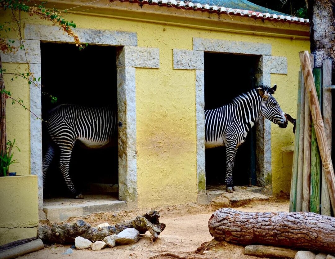 Puzzling Photos Playing Tricks With Your Eyes