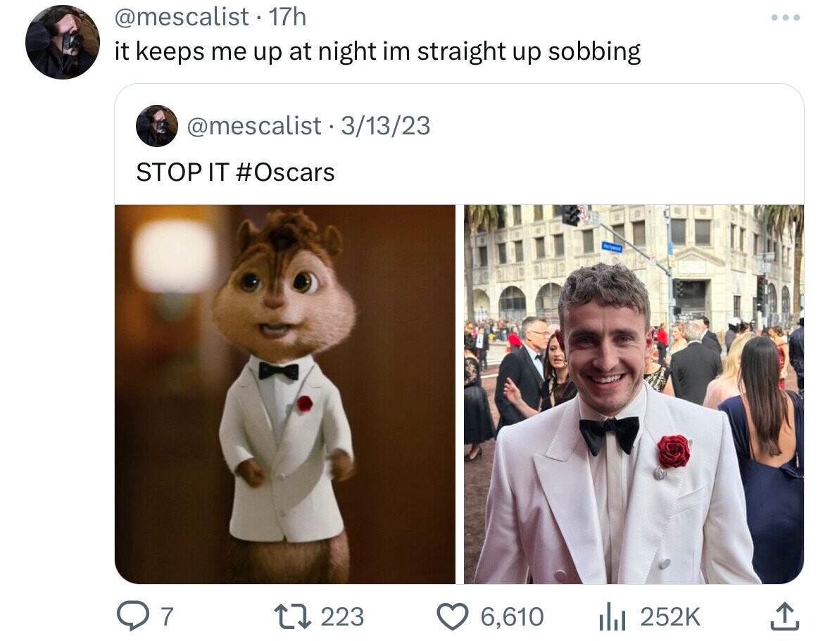 @mescalist - 17h it keeps me up at night im straight up sobbing @mescalist - 3/13/23 STOP IT #Oscars 7 223 6,610 252K