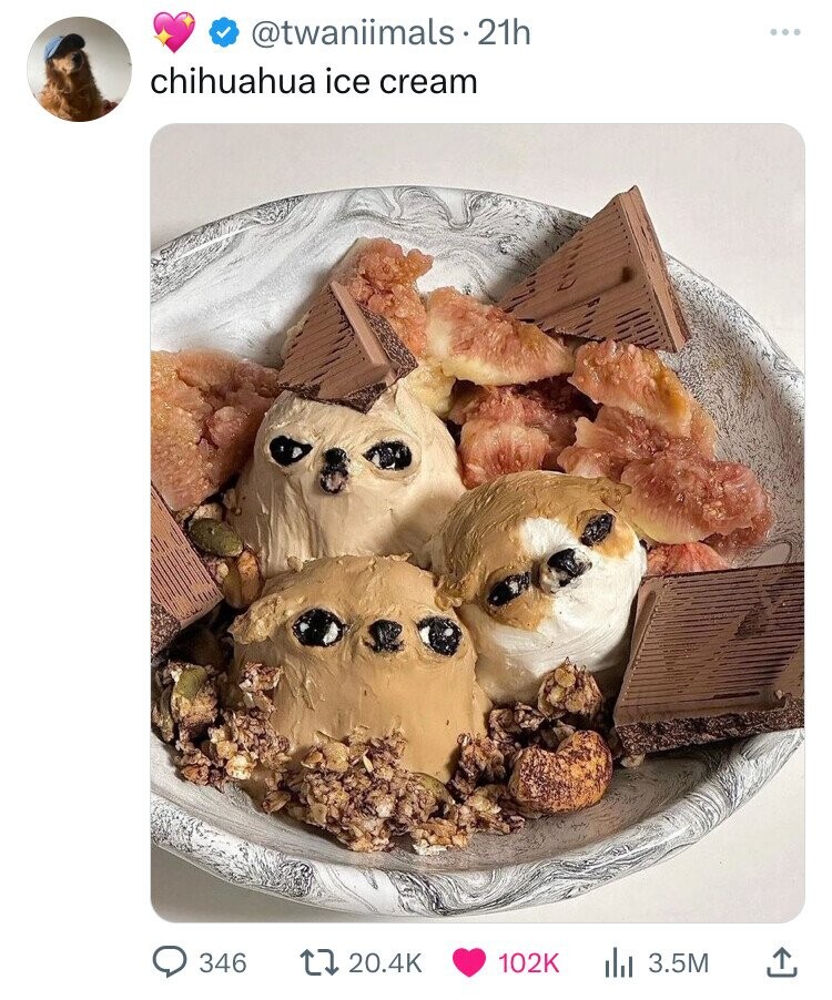 @twaniimals.21h chihuahua ice cream 346 20.4K 102K 3.5M