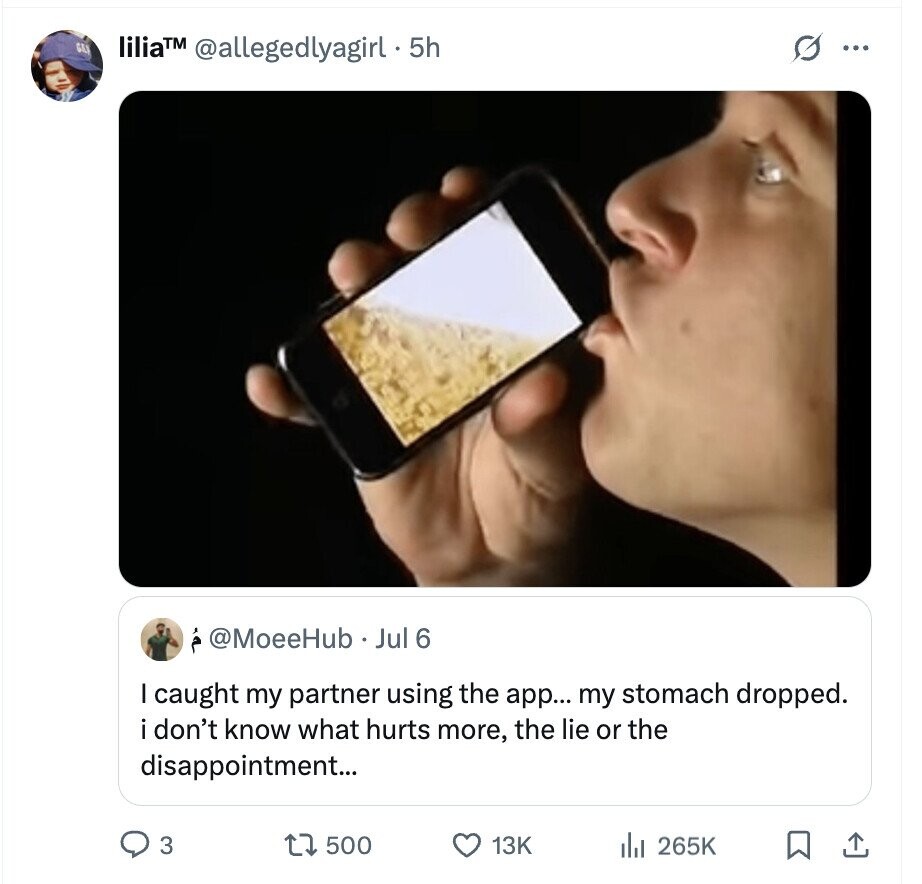liliaTM @allegedlyagirl . 5h G ... @MoeeHub Jul 6 I caught my partner using the app... my stomach dropped. i don't know what hurts more, the lie or the disappointment... 3 500 13K 265K