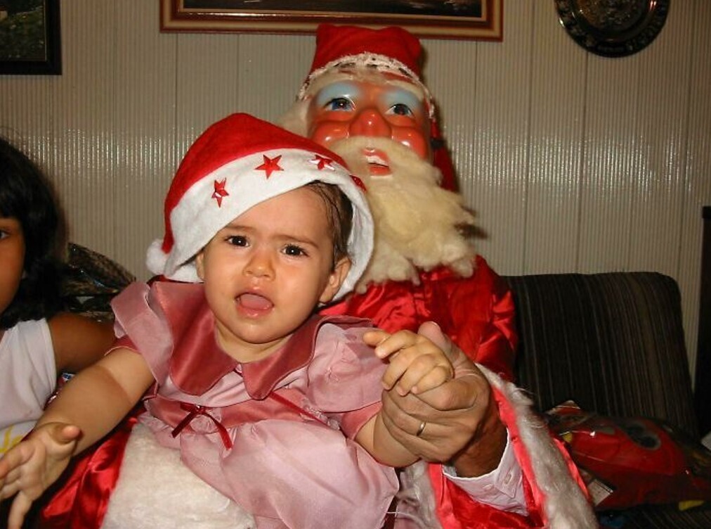 20 Photos Showing if the Grinch Ran Christmas