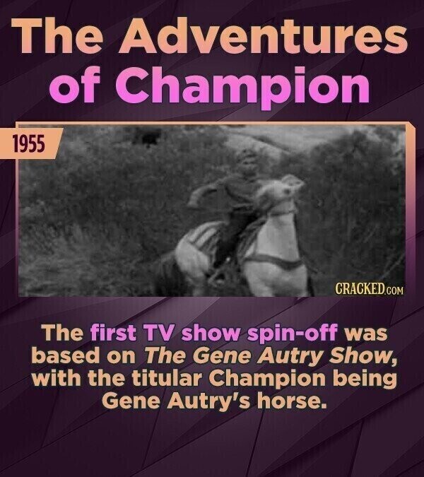 The Adventures of Champion 1955 CRACKED.COM The first TV show spin-off was based on The Gene Autry Show, with the titular Champion being Gene Autry's horse.