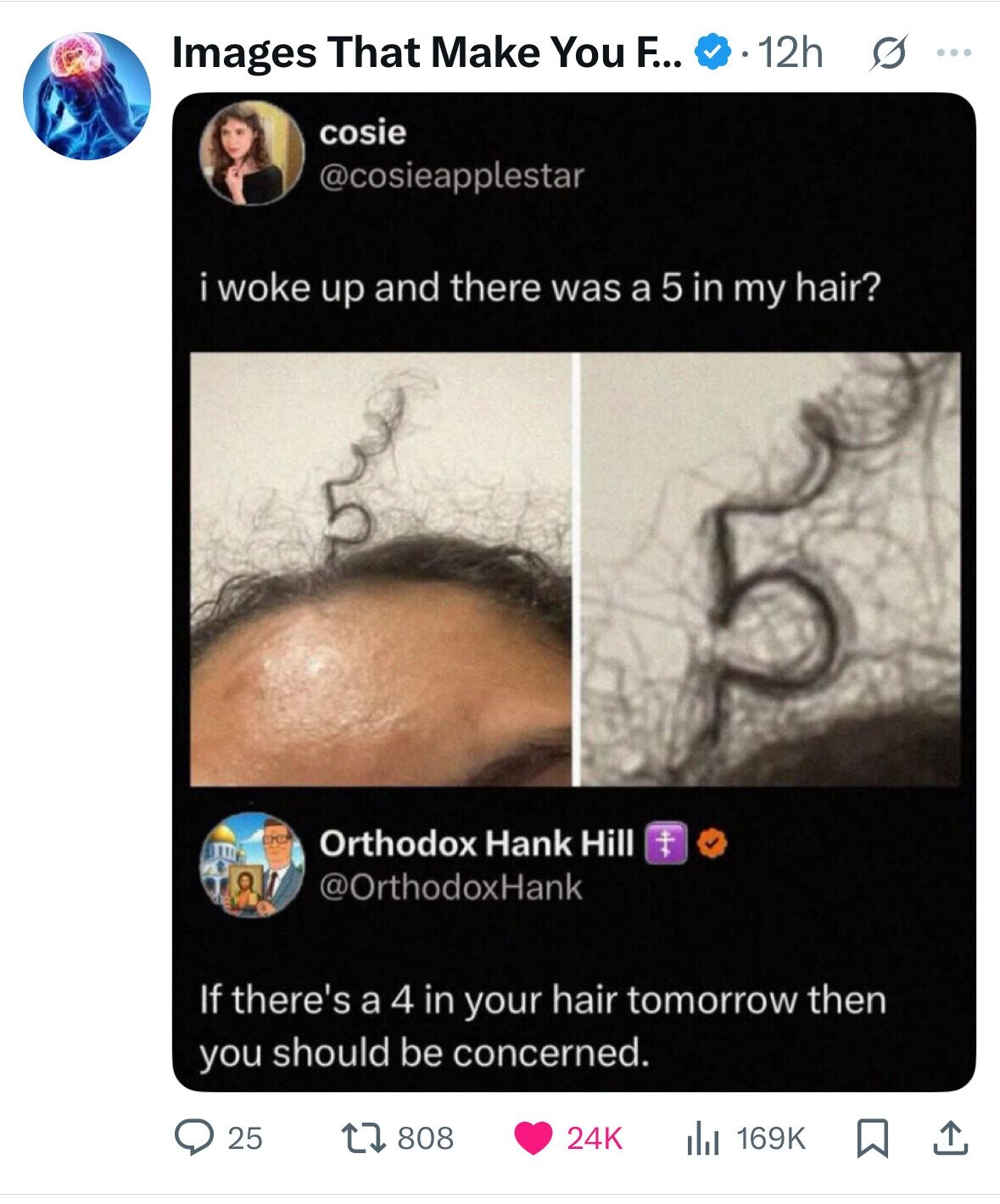 12h Images That Make You F... G ... cosie @cosieapplestar i woke up and there was a 5 in my hair? BO Orthodox Hank Hill @OrthodoxHank If there's a 4 in your hair tomorrow then you should be concerned. 25 808 24K 169K 