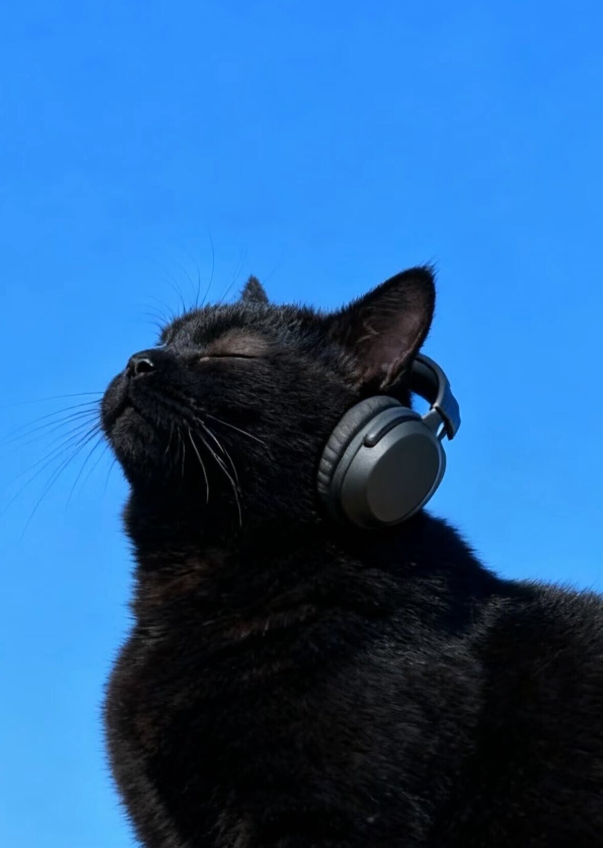 20 Photos That Just Go Hard