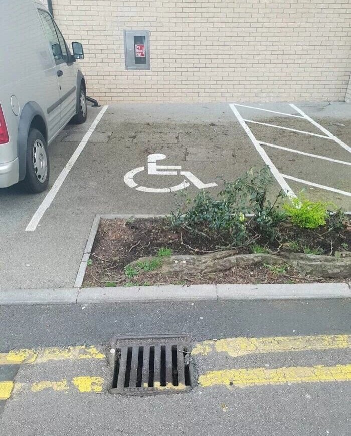 Photos That Could Have Used Some Common Sense