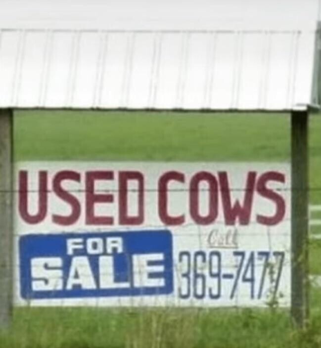 USED COWS Call FOR SALE 369-7477