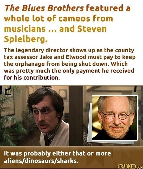 The Blues Brothers featured a whole lot of cameos from musicians... .. and Steven Spielberg. The legendary director shows up as the county tax assessor Jake and Elwood must pay to keep the orphanage from being shut down. Which was pretty much the only payment he received for his contribution. 12 It was probably either that or more aliens/dinosaurs/sharks. CRACKED.COM