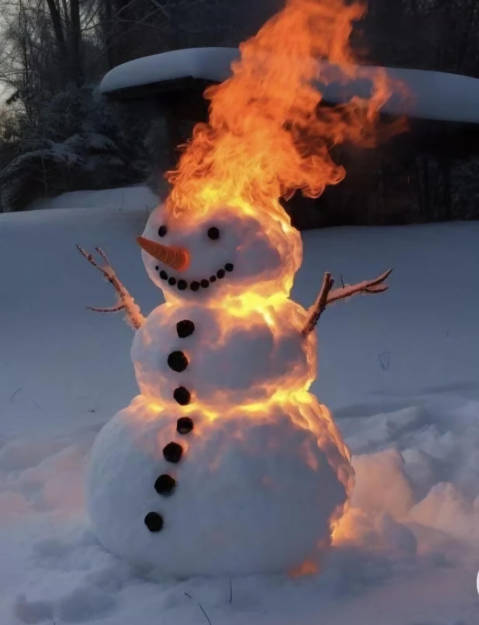 20 Photos That Just Go Hard