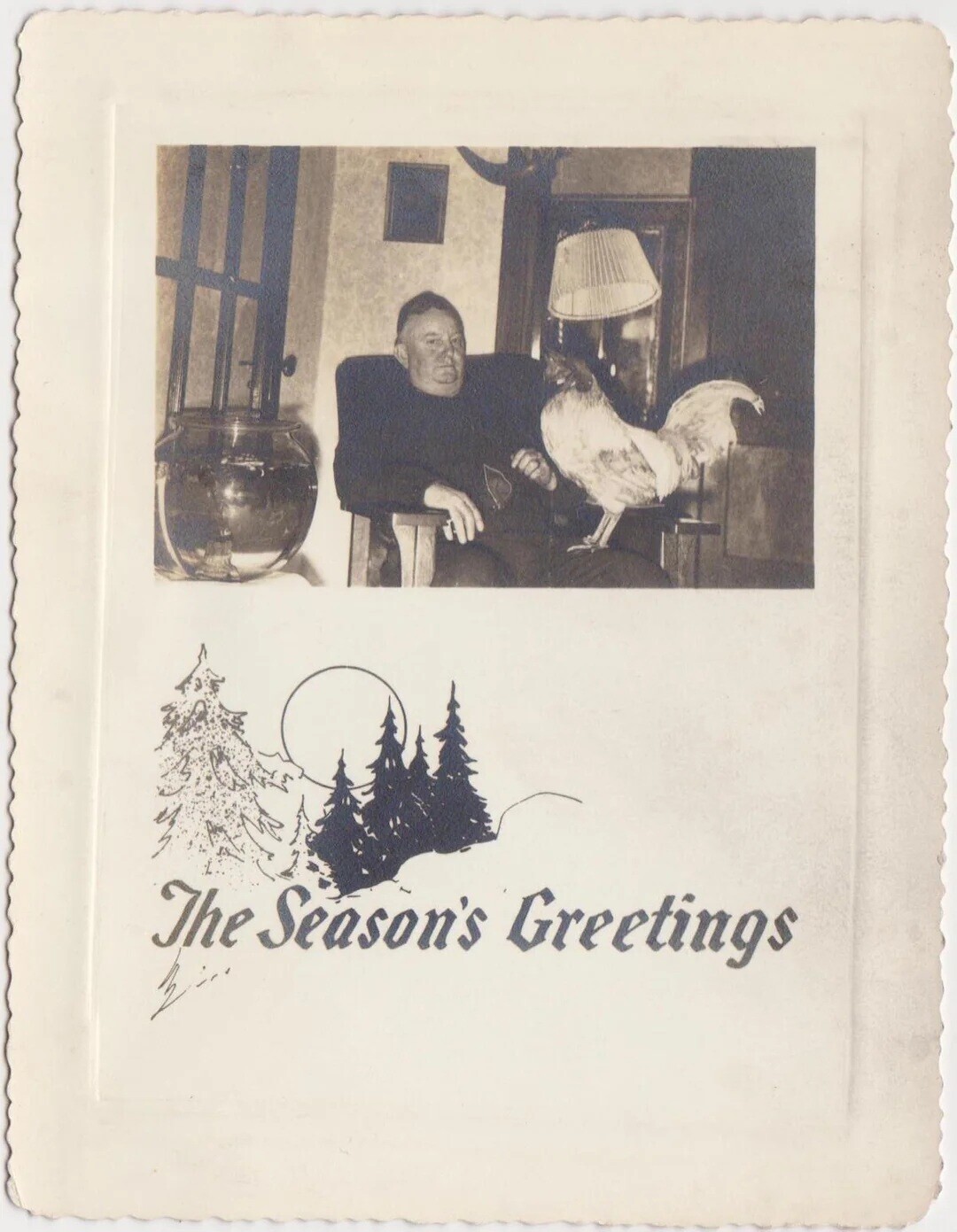 The Season's Greetings