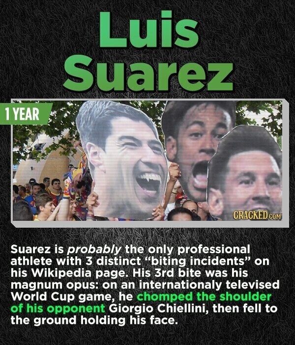 Luis Suarez 1 YEAR CRACKED.COM Suarez is probably the only professional athlete with 3 distinct biting incidents on his Wikipedia page. His 3rd bite was his magnum opus: on an internationaly televised World Cup game, he chomped the shoulder of his opponent Giorgio Chiellini, then fell to the ground holding his face.