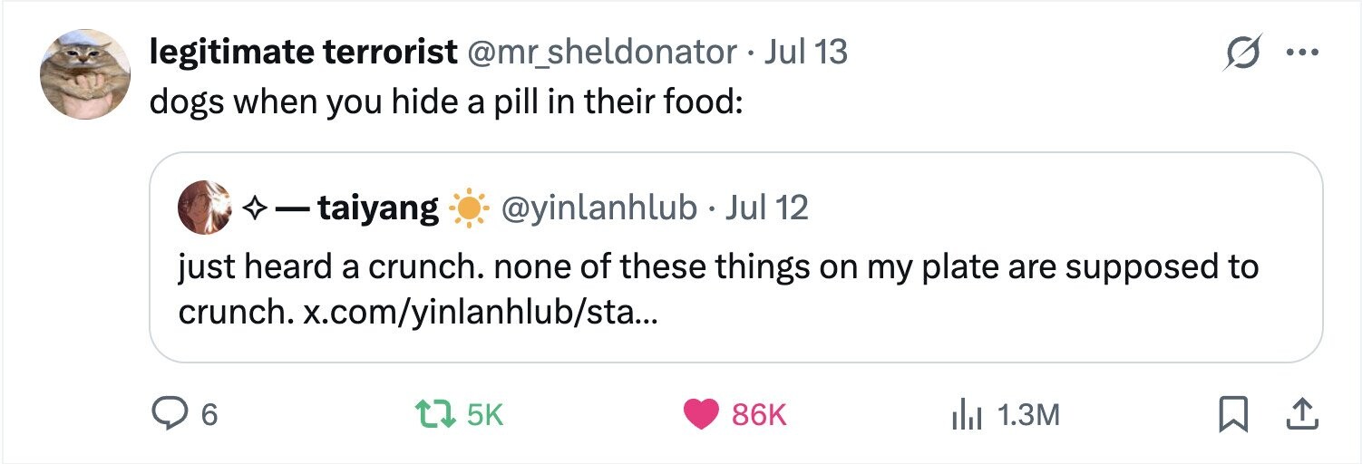 legitimate terrorist @mr_sheldonator - _ Jul 13 ... dogs when you hide a pill in their food: - taiyang @yinlanhlub - Jul 12 just heard a crunch. none of these things on my plate are supposed to crunch. x.com/yinlanhlub/sta... 6 5K 86K 1.3M