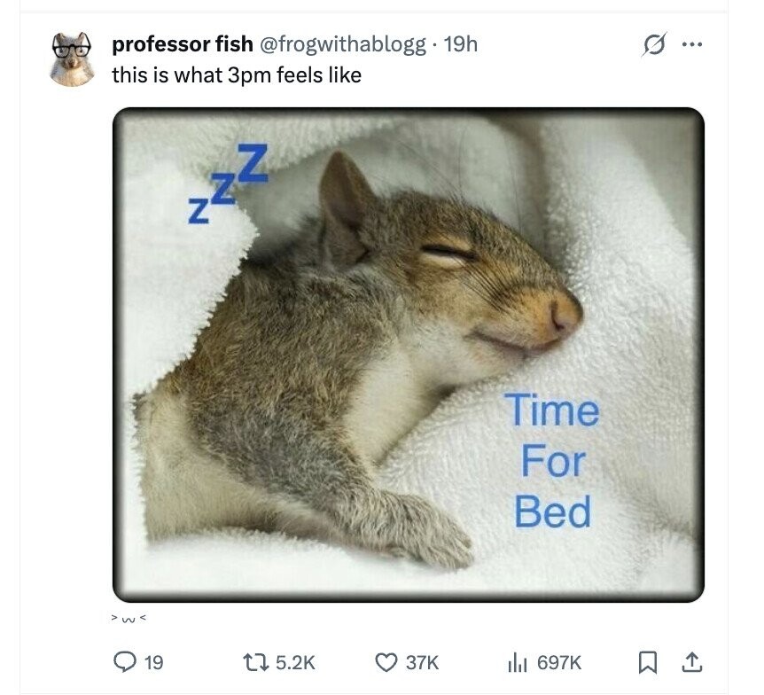 s professor fish @frogwithablogg 19h ... this is what 3pm feels like Z بد Time For Bed 19 5.2K 37K 697K