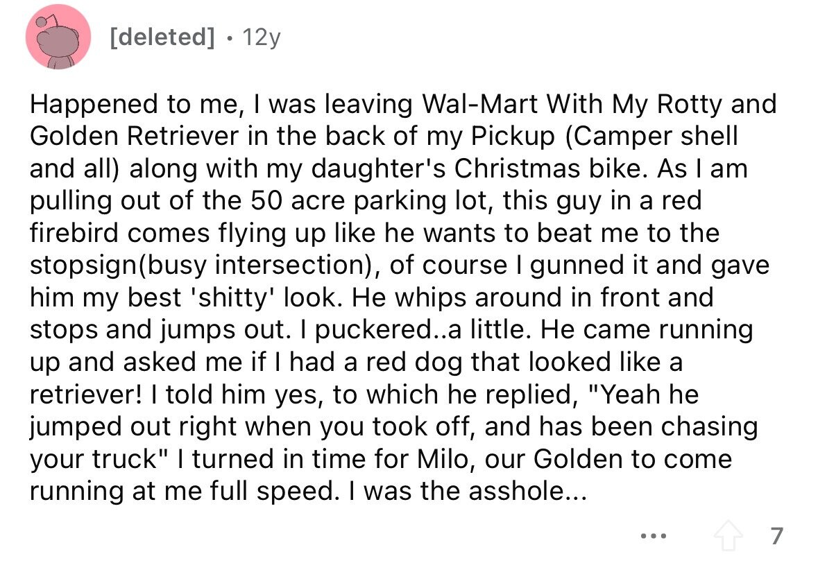 [deleted] 12y Happened to me, I was leaving Wal-Mart With My Rotty and Golden Retriever in the back of my Pickup (Camper shell and all) along with my daughter's Christmas bike. As I am pulling out of the 50 acre parking lot, this guy in a red firebird comes flying up like he wants to beat me to the stopsign(busy intersection), of course I gunned it and gave him my best 'shitty' look. Не whips around in front and stops and jumps out. I puckered..a little. Не came running up and asked me if I had a red dog that 