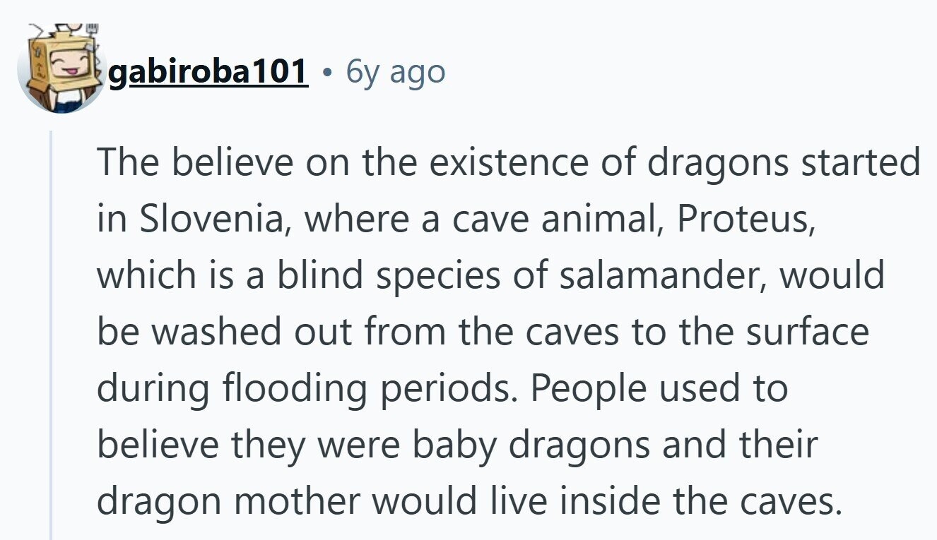 gabiroba101 6y ago The believe on the existence of dragons started in Slovenia, where a cave animal, Proteus, which is a blind species of salamander, would be washed out from the caves to the surface during flooding periods. People used to believe they were baby dragons and their dragon mother would live inside the caves. 