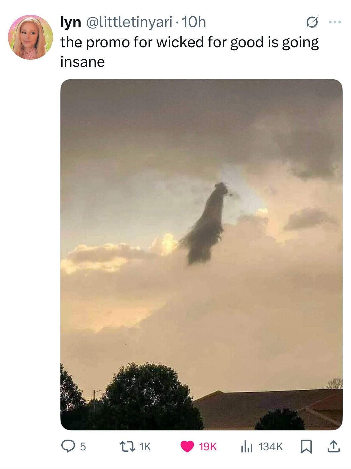 lyn @littletinyari • 10h ... the promo for wicked for good is going insane 5 1K 19K 134K 