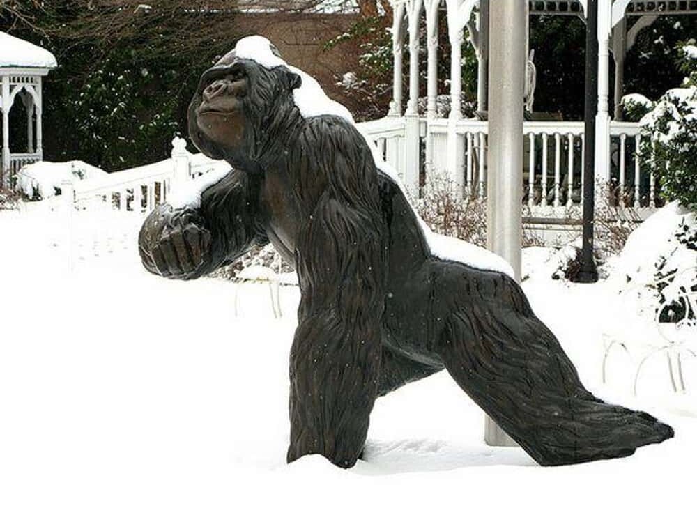 Deranged Yard Decor Terrorizing Neighbors and the HOA