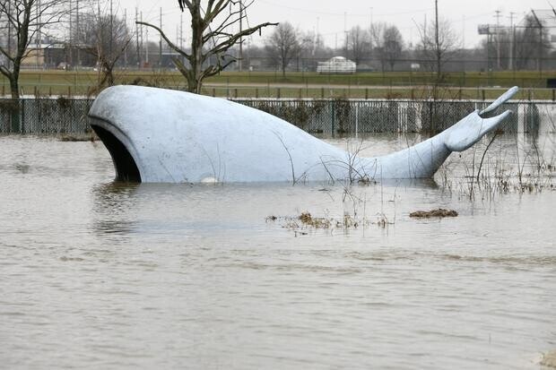 Unsettling Photos from Behind the Scenes of Life