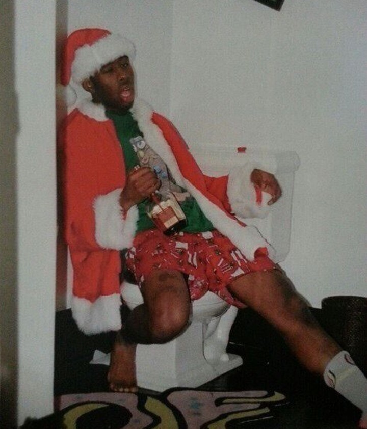 20 Photos Showing if the Grinch Ran Christmas